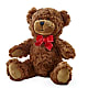 Adorable Plush Bear – POPPIES & PAISLEY FLORAL, Mulino OR
