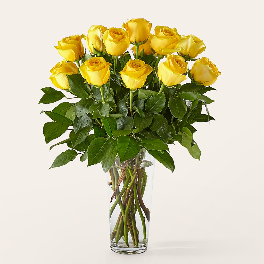 Long Stem Yellow Rose Bouquet – POPPIES & PAISLEY FLORAL, Mulino OR