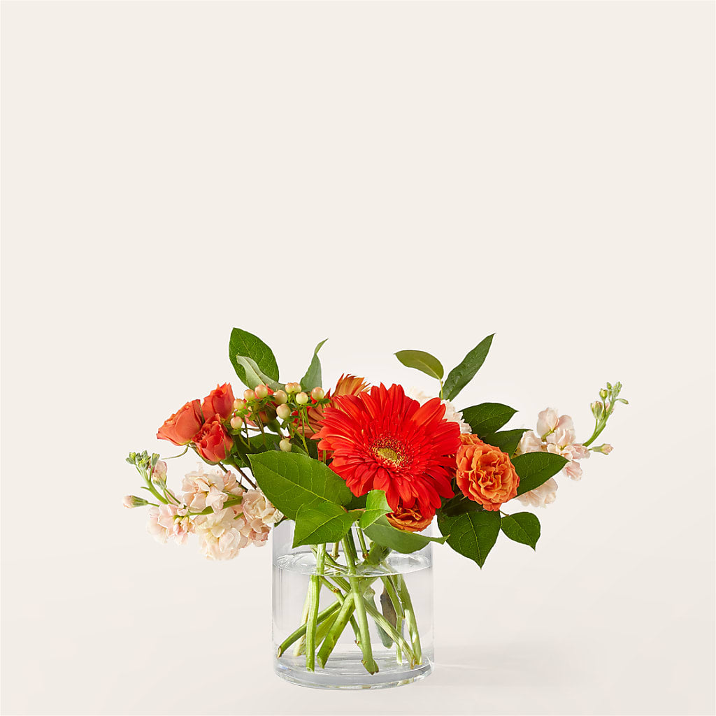 Paloma Please Bouquet – POPPIES & PAISLEY FLORAL, Mulino OR