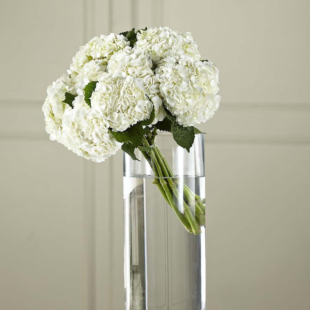 White Hydrangea Hand-Tied Bouquet – POPPIES & PAISLEY FLORAL, Mulino OR