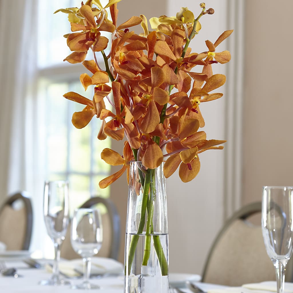 Orange Mokara Bud Vase – POPPIES & PAISLEY FLORAL, Mulino OR