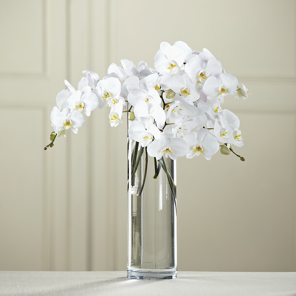 White Phalaenopsis Bouquet – POPPIES & PAISLEY FLORAL, Mulino OR