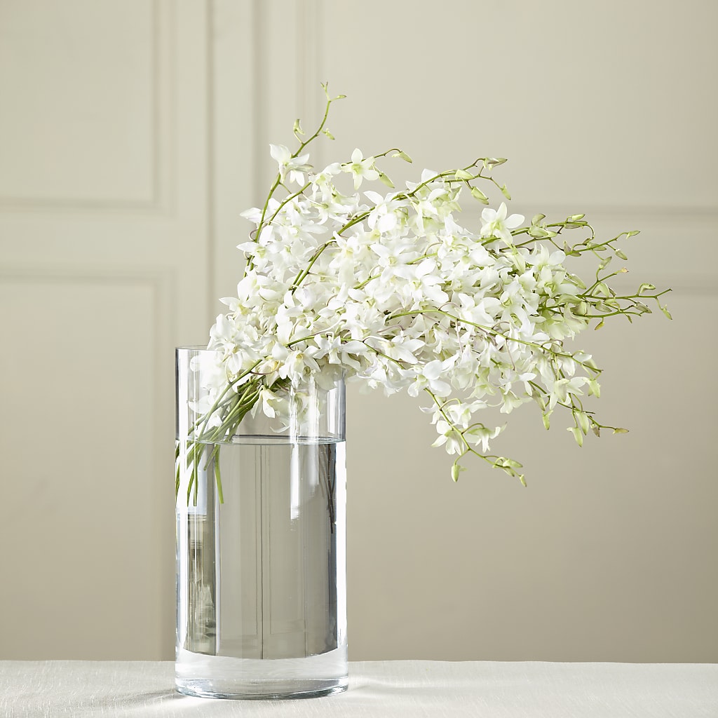 White Dendrobium Bouquet – POPPIES & PAISLEY FLORAL, Mulino OR