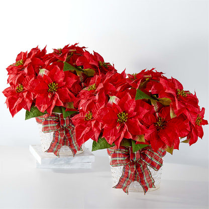 Happiest Holidays Poinsettia Bundle – POPPIES & PAISLEY FLORAL, Mulino OR