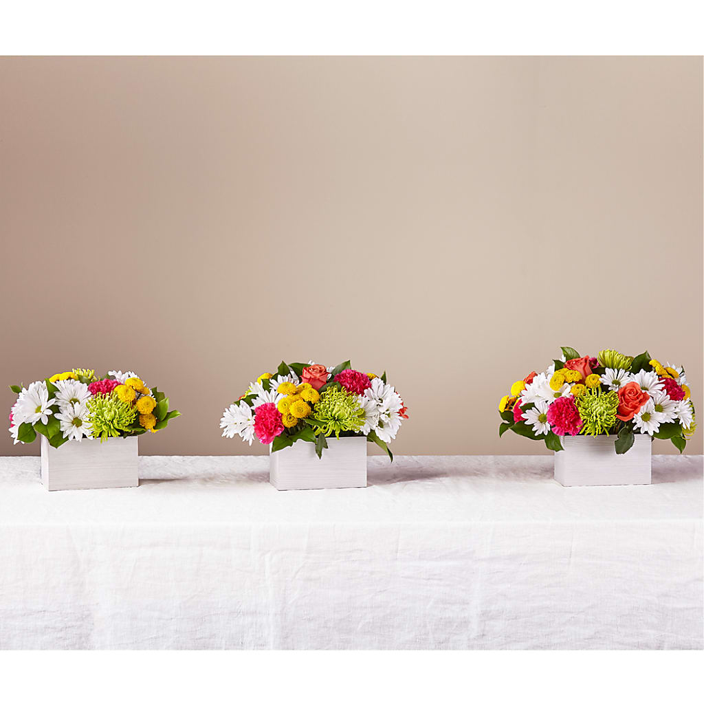 Sorbet Bouquet – POPPIES & PAISLEY FLORAL, Mulino OR