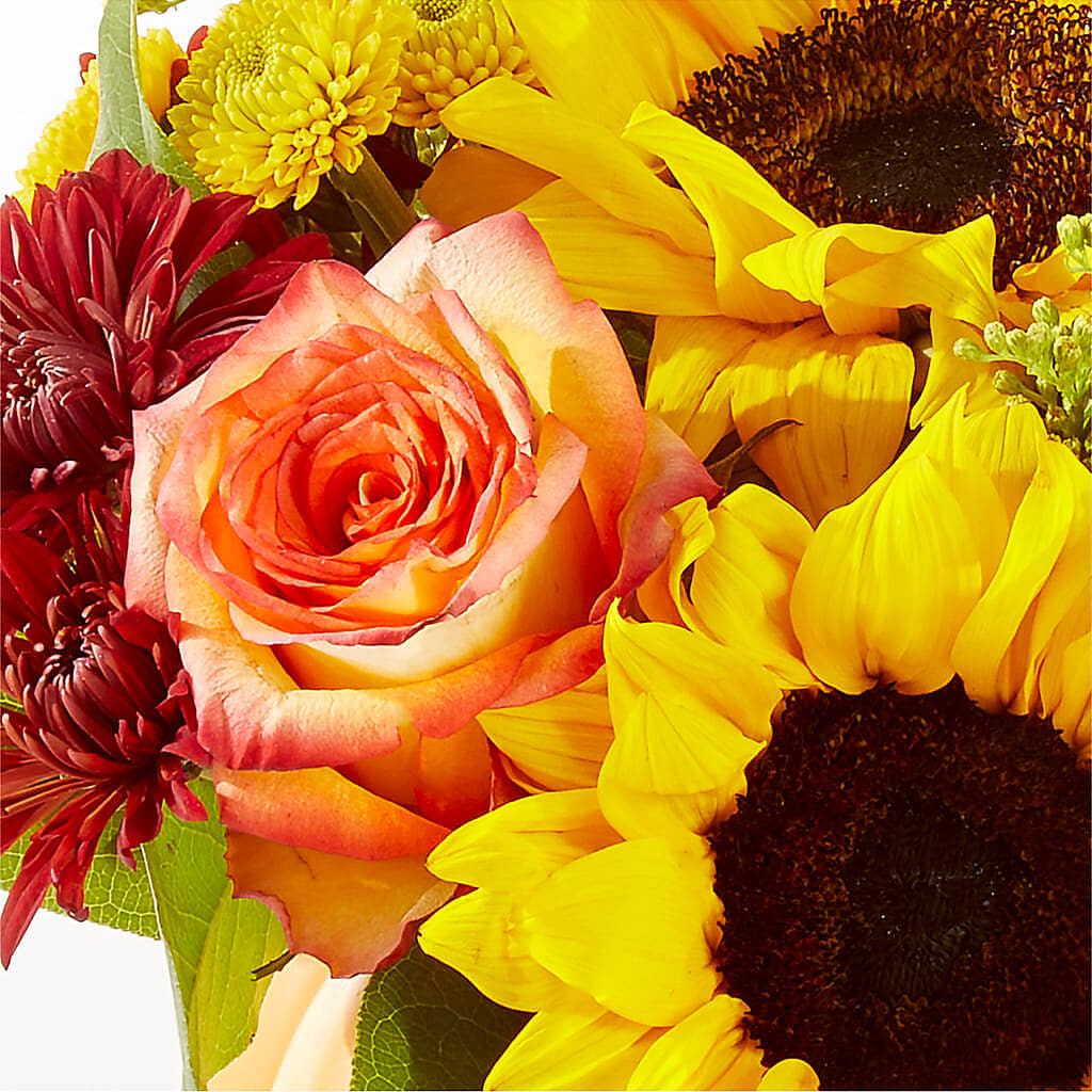 Golden Gourd Pumpkin Bouquet – POPPIES & PAISLEY FLORAL, Mulino OR