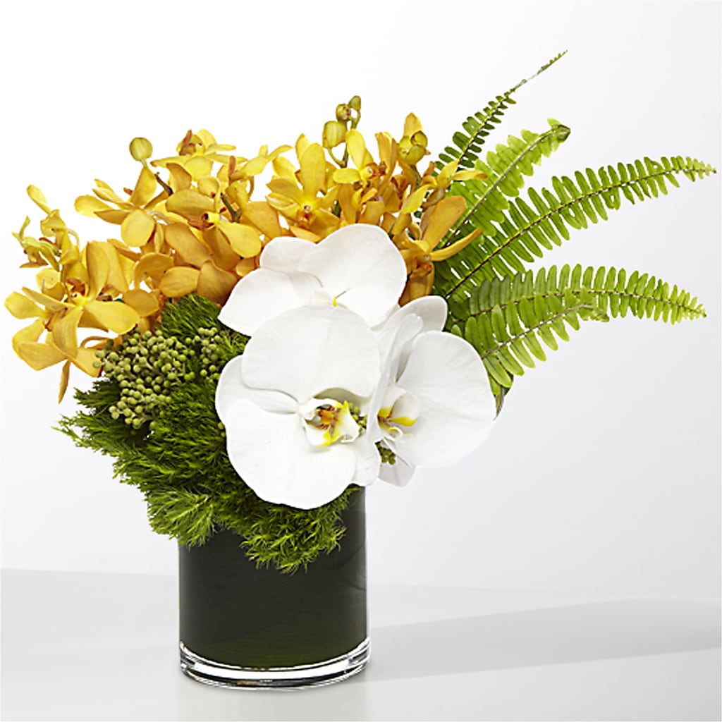 The Tropics – POPPIES & PAISLEY FLORAL, Mulino OR