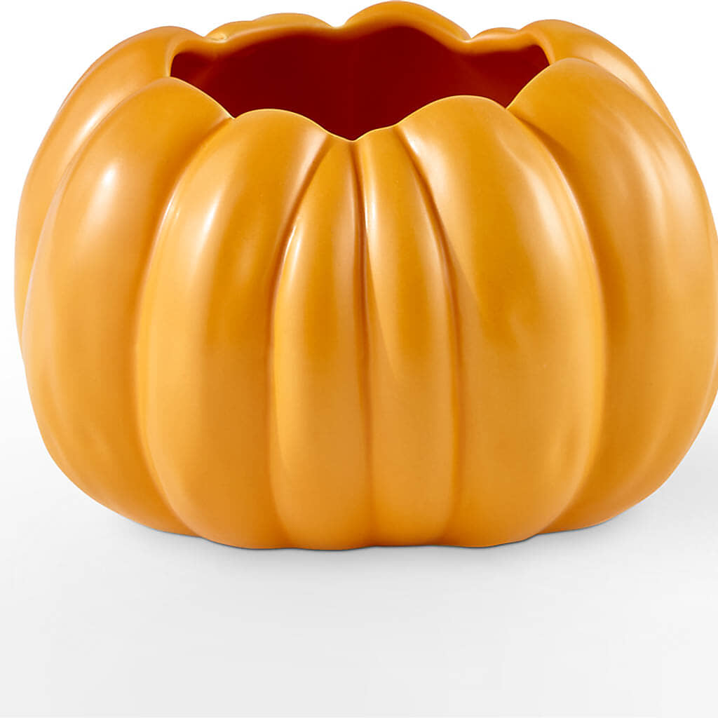 Golden Gourd Pumpkin Bouquet – POPPIES & PAISLEY FLORAL, Mulino OR