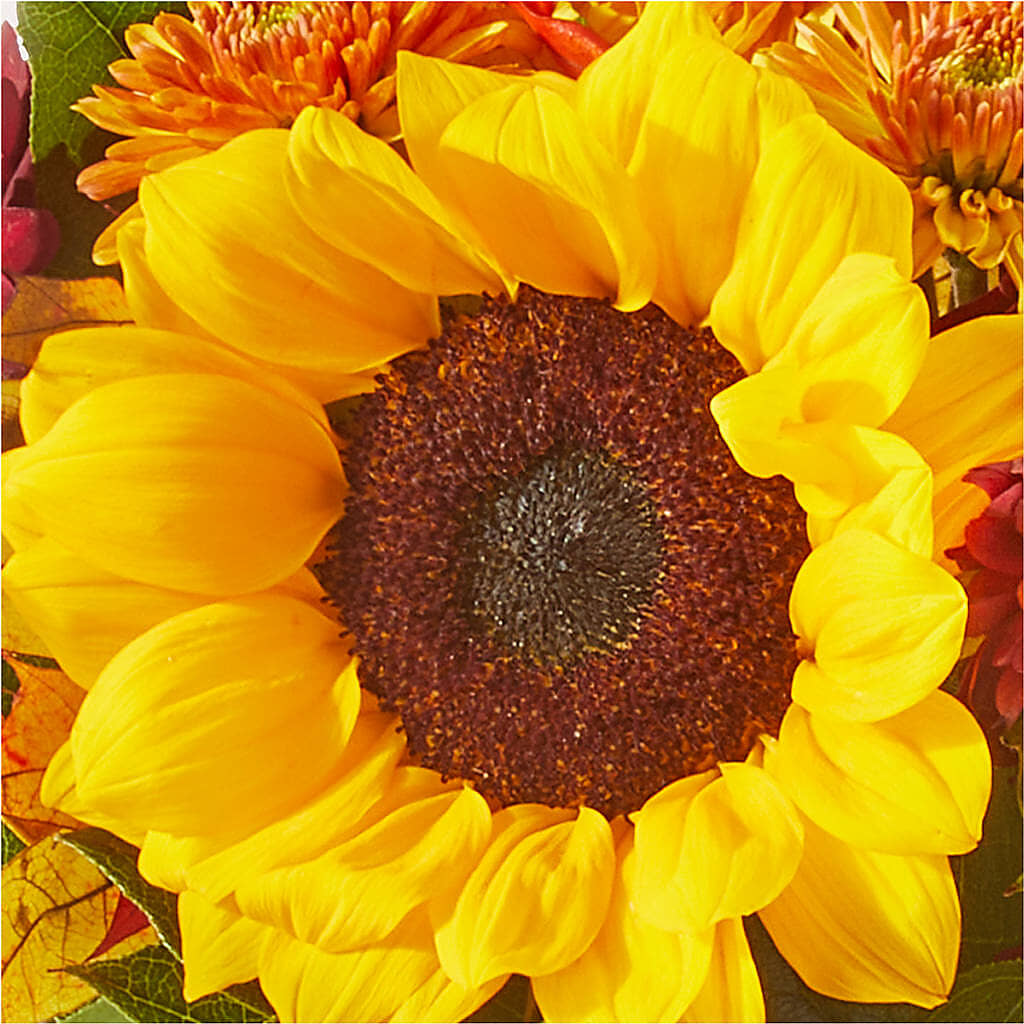 Sunny Side Bouquet – POPPIES & PAISLEY FLORAL, Mulino OR