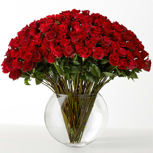 The Idealist – POPPIES & PAISLEY FLORAL, Mulino OR