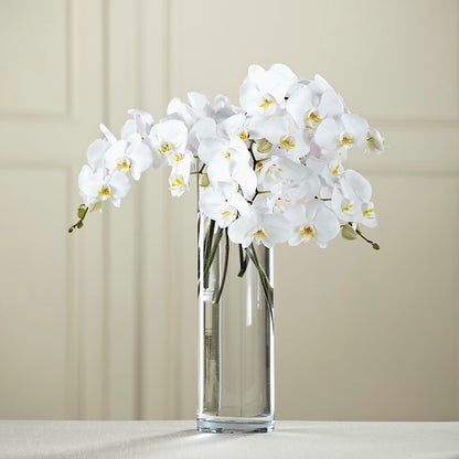 White Phalaenopsis Bouquet – POPPIES & PAISLEY FLORAL, Mulino OR